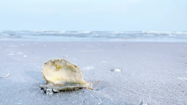 Tropical beach of Thailand, blue ocean waves breaking on rocks and sand. Beautiful sea waves come to a beach with seashells.