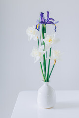 Bouquet of tender Daffodil (narcissus) and Iris flowers in a vase on a white table.