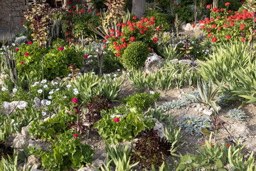 Lush Mediterranean Garden Landscape Blossoming Mediterranean Garden