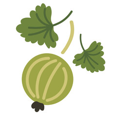 color isolated gooseberry in flat shape style in vector. image of natural healthy eco food.template for logo sticker poster print decor design