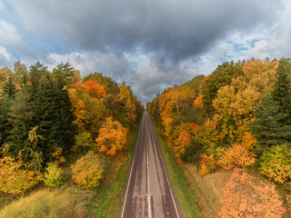 Lithuanian Autumn Leaves Color Nature and Road. Beautiful Landscape. Drone Point of View