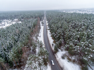 Pine Tree Forest in Winter in Lithuania. Drone Point of View. Road in the Middle of the Frame