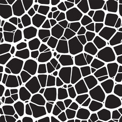 Abstract Black and White Patterns: Vector Collection