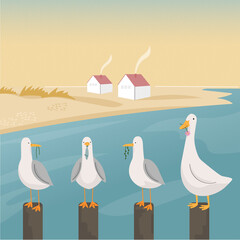 Three seagulls and one goose in a vector on the seashore with a gradient