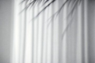 Fototapeta premium Background and texture