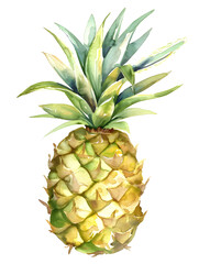 Fototapeta premium Watercolor pineapple illustration isolated on white