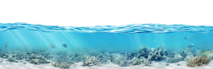 Serene underwater scene cut out