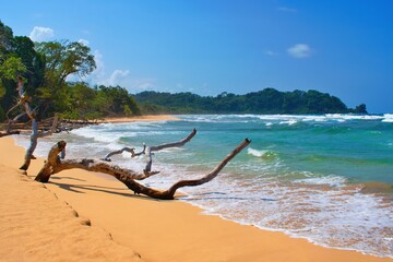 Wizard beach, Bastimentos Island, Bocas del Toro, Panama