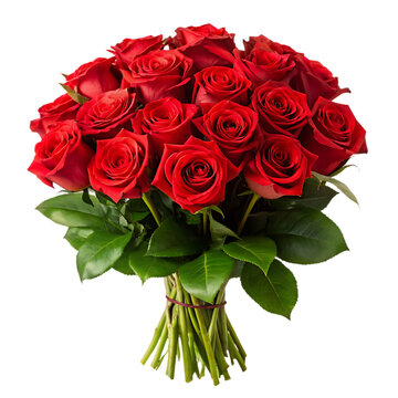 quality bouquet of red roses isolated