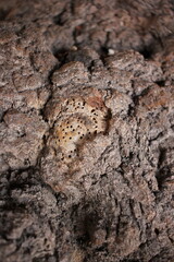 Full frame view of natural rock.