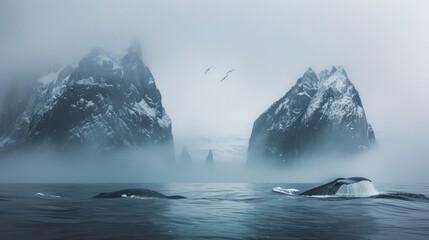 Ethereal Snowcapped Peaks Rising from Misty Fjord - obrazy, fototapety, plakaty
