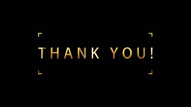 Thank You golden text with light motion animation element effect. 4K seamless loop isolated transparent video animation text with alpha channel using Quicktime Apple prores 444. 
