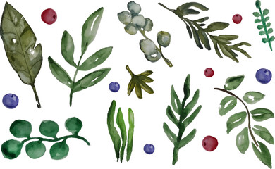 An elegant collection of watercolor botanical elements including leaves, berries, and branches, perfect for creating sophisticated floral arrangements and designs