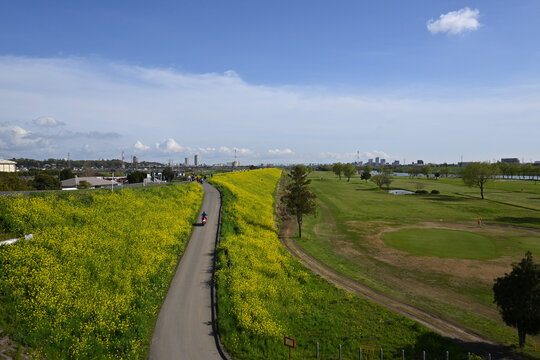 江戸川堤（千葉県松戸市）、葛飾橋から撮影