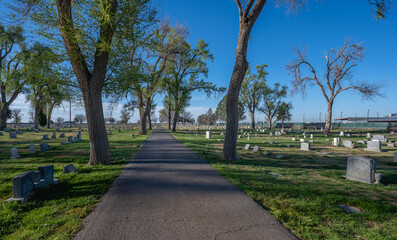 Tree lined road leading into a cemetery at Hobbs, New Mexico, United States