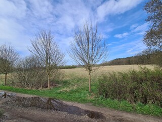 country side in Martensdorf, a village near Stralsund in Germany, Mecklenburg - Vorpommern