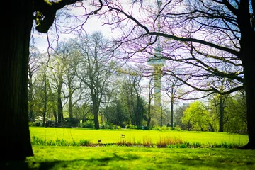 Foto op Canvas This is a photo of Het Park in Rotterdam, Netherlands, taken in April 2024. © SANGIN