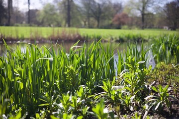 This is a photo of Het Park in Rotterdam, Netherlands, taken in April 2024.