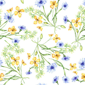 Yellow, blue meadow flowers in watercolor seamless pattern isolated on white. Celandine and cornflower in sketch. Medicinal plant, useful floral print hand drawn. Design for home textile, package