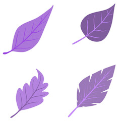 Doodle leaves set illustration watercolor botanical drawing that can be used for sticker, icon, decorative, etc. with purple color