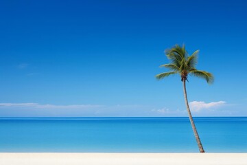 A lone palm tree swaying gently in the breeze on a sandy beach. Copy space for adding text or additional design elements.