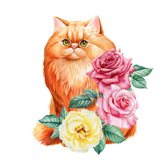 Beautiful red cat with garden rose flowers on isolated background. Watercolor painting, botanical illustration