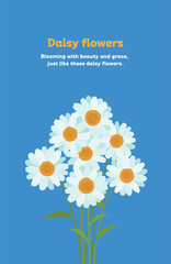 Illustration card design with white and yellow daisy flowers blooming in spring. Hand drawn illustration of a daisy in full bloom on a blue background.