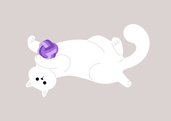 Playful Paws and Purple Ball, A Cats Blissful Afternoon Romp, A white kitten lazily lies belly up, clasping a toy