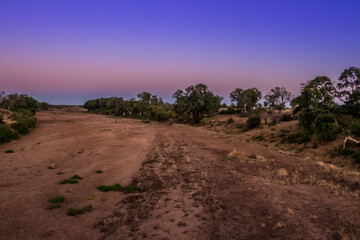 Travelling through a dry river bed landscape covered in acacia trees at sunset, Kruger National Park, South Africa