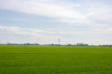 Spring landscape with flat and low land with blue sky, Typical Dutch polder land, Small canal or...