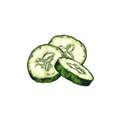 Sliced cucumbers vector illustration