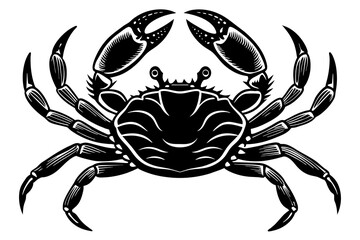 crab-isolated vector illustration -on-white-background