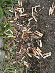 Cigarette butts on the street as trash
