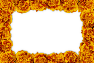 beautiful spring flower frame design for nature,fabric,web design,religious,art,diwali,new year,hindu religious,fall autumn concept,cut out on transparent background,png format