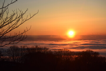 Sea of clouds in early morning
