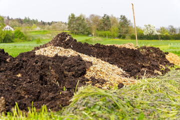 Landscape scenery with close-up of heaps of dung at Swiss City of Zürich on a cloudy spring day. Photo taken April 8th, 2024, Zurich, Switzerland.