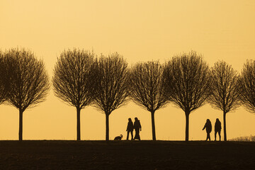 black silhouettes against the colourful background of the setting sun with people group
