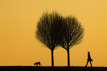 black silhouettes against the colourful background of the setting sun with a dog with a mistress