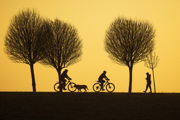 black silhouettes against the colourful background of the setting sun with cyclists and the dog