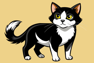 black and white cat