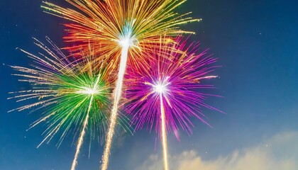 Fireworks in the night sky