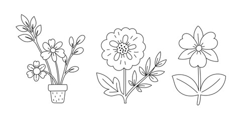 Kawaii line art coloring page for kids. Kindergarten or preschool coloring activity. Cute flowers vector illustration - 779776125