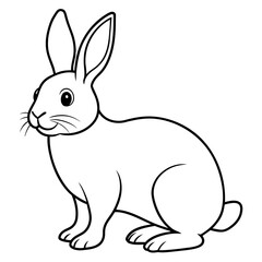 White rabbit vector illustration