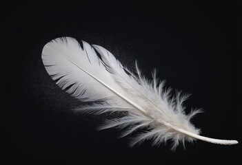 An isolated soft white feather gracefully lies on a pitch-black canvas, highlighting its delicate and airy texture AI generation