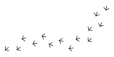 Paws, chicken tracks, diagonal path of chicken tracks, vector black silhouettes.