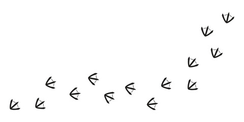 Paws, of goose footprints, diagonal path of goose footprints, vector black silhouettes. © Тима Рябец