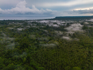 Aerial View of Misty Morning in Seram Island, Maluku, Indonesia