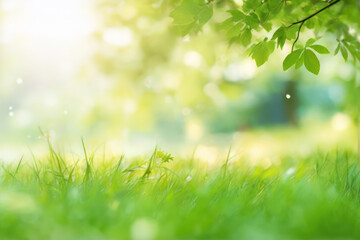 Beautiful natural spring green background