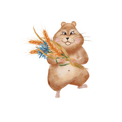 Watercolor hamster. Cheerful fat Hamster with a bouquet of ears of wheat and cornflower. Isolated on white background. Illustration for nursery, stickers, greetings, postcards.