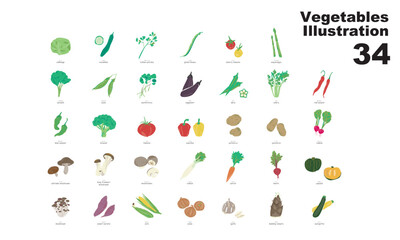 野菜のイラスト、グラフィック素材、ベクター